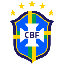 Brazil National Fan 图标