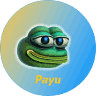 PAYU Logo