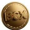 Big Coin Logo