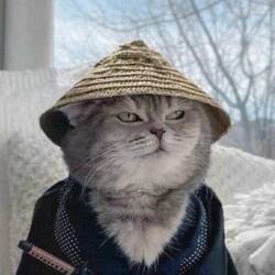 Logo Samurai Cat