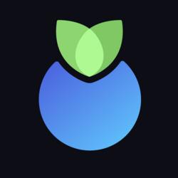 Logo de Blueberry