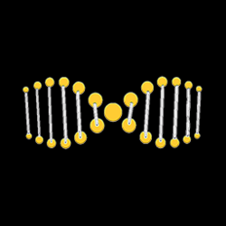 extraDNA 圖標