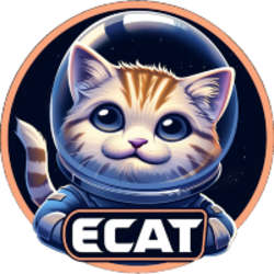 Logo de ELON CAT FINANCE