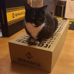 Binance Cat Logo