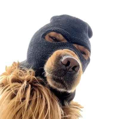 Логотип SKI MASK DOG